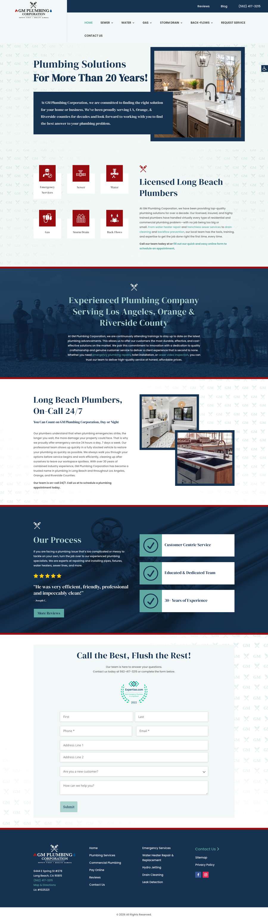 Real premium plumbers website design